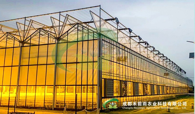 香港宝典报纸大全