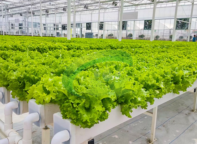 香港宝典报纸大全