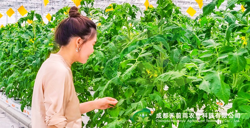 香港宝典报纸大全