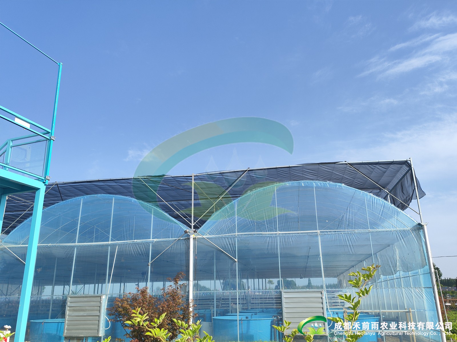 香港宝典报纸大全