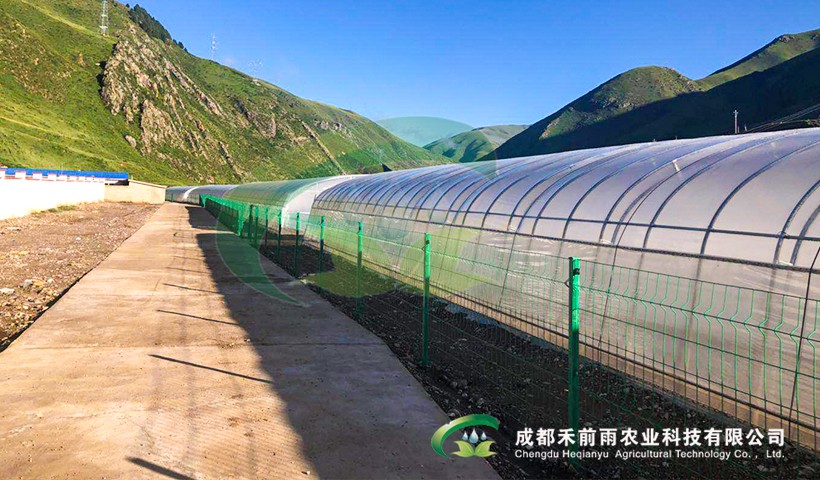 香港宝典报纸大全