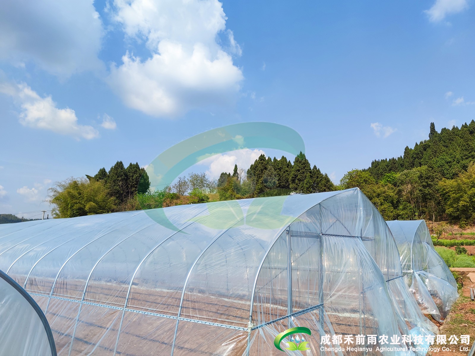 香港宝典报纸大全