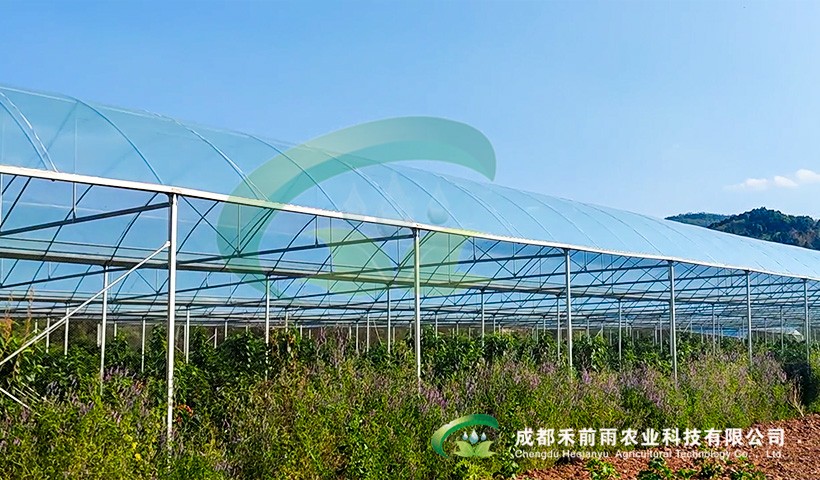 香港宝典报纸大全