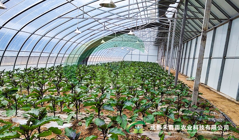 香港宝典报纸大全