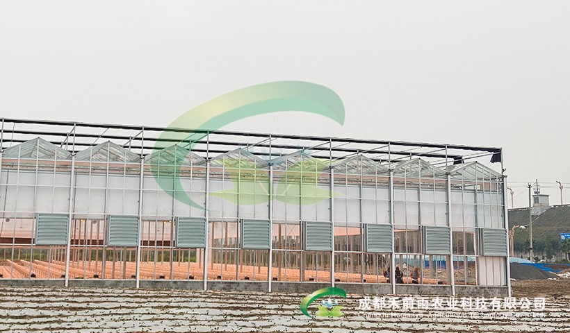 香港宝典报纸大全