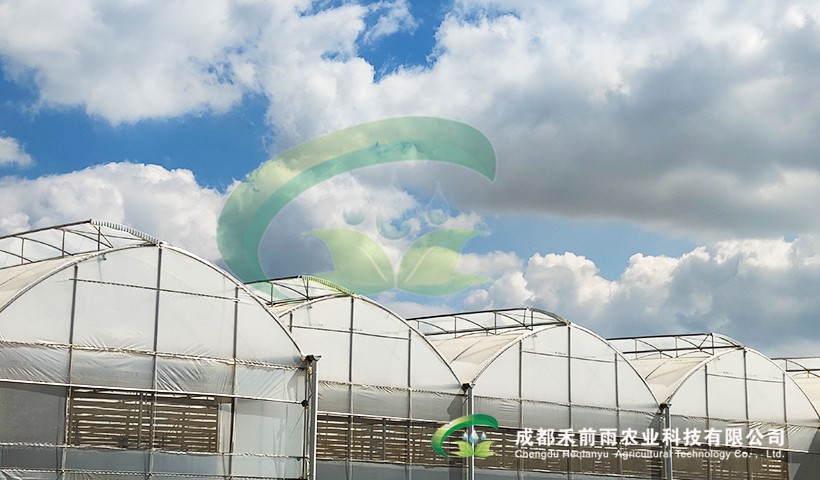 香港宝典报纸大全