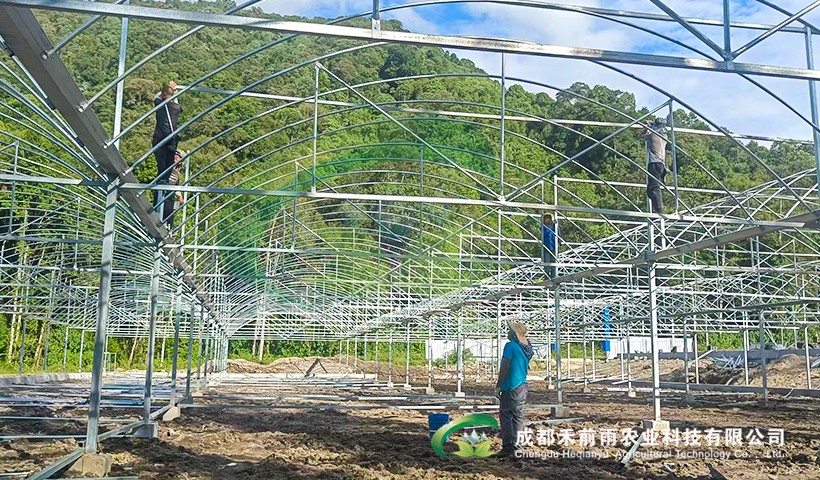 香港宝典报纸大全