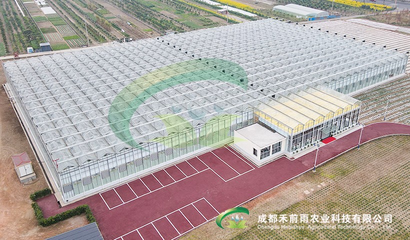 香港宝典报纸大全