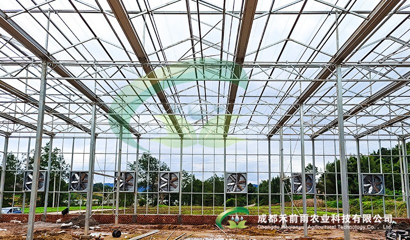 香港宝典报纸大全