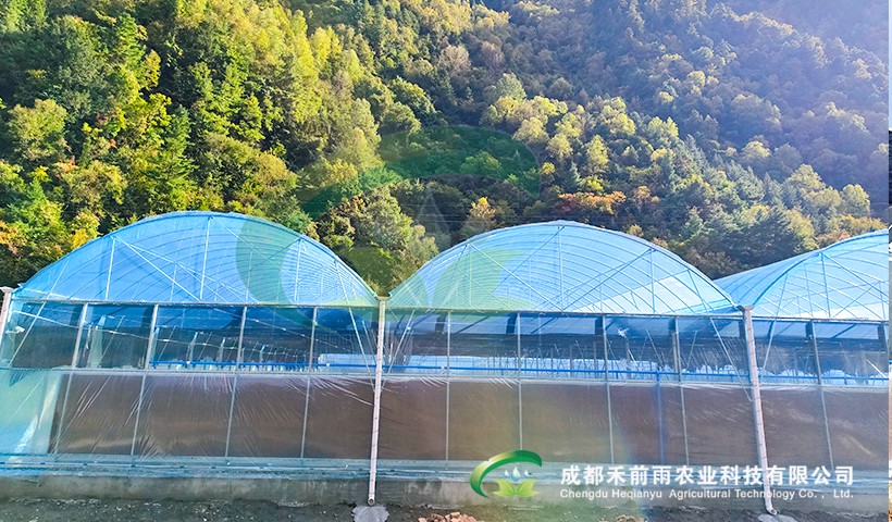 香港宝典报纸大全