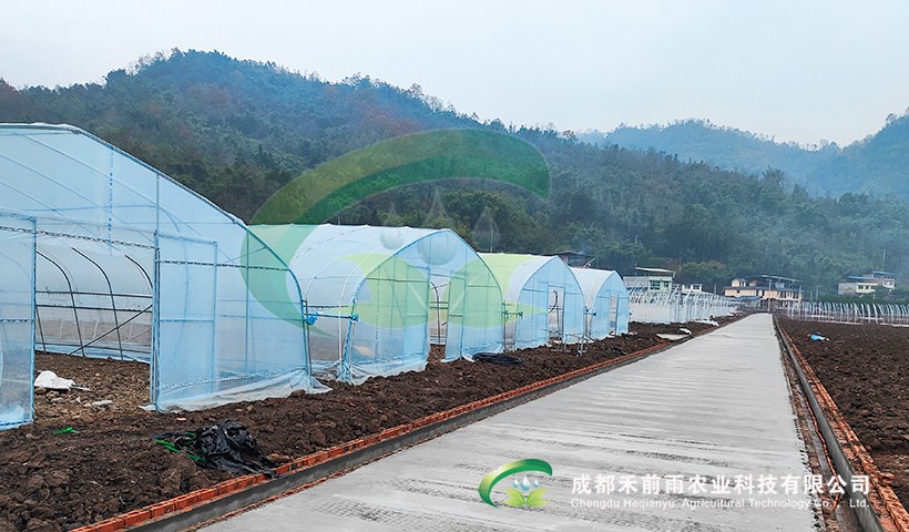 香港宝典报纸大全