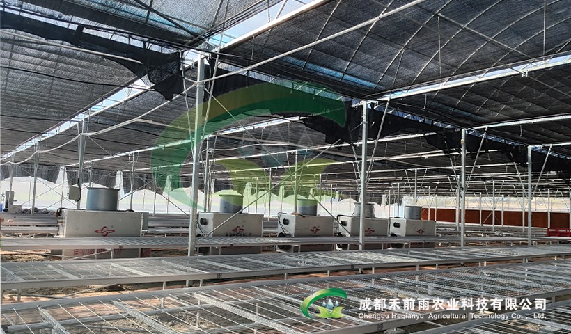 香港宝典报纸大全