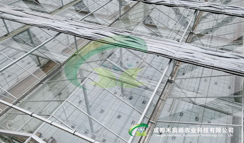 香港宝典报纸大全