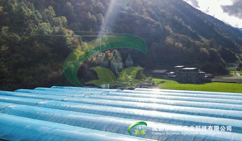 香港宝典报纸大全